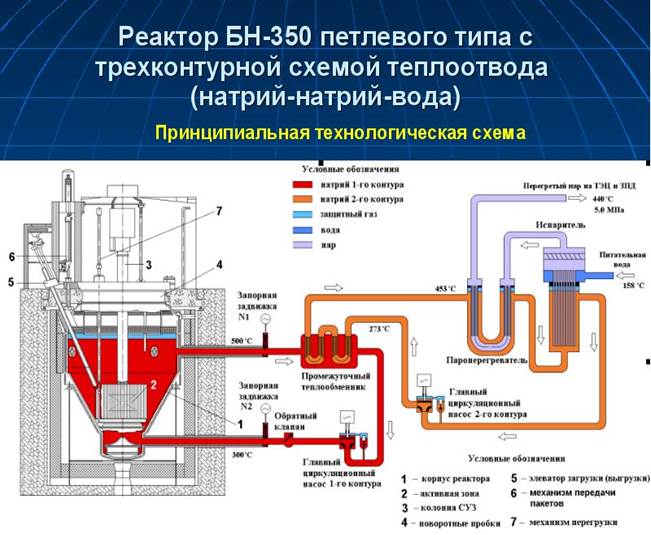 Реактор БН-350 петлевого типа с трехконтурной схемой теплоотвода (натрий-натрий-вода)