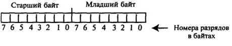 glava 53.jpg