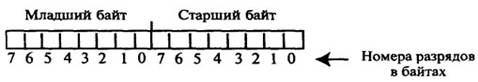 glava 54.jpg