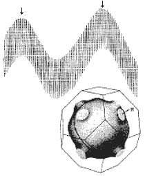 Рис. 5.1