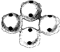 Рис. 5.3