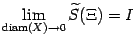 $ \lim\limits_{\mathop{\rm diam}\nolimits (X)\to0}\wt S(\Xi)=I$