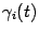 $ {\gamma}_i(t)$