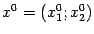 $ x^0=(x_1^0;x_2^0)$