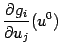 $ \displaystyle{\frac{\partial g_i}{\partial u_j}}(u^0)$