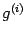 $ g^{(i)}$