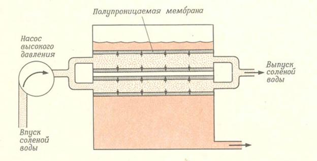 http://www.o8ode.ru/image/moleg/171007-5.jpg